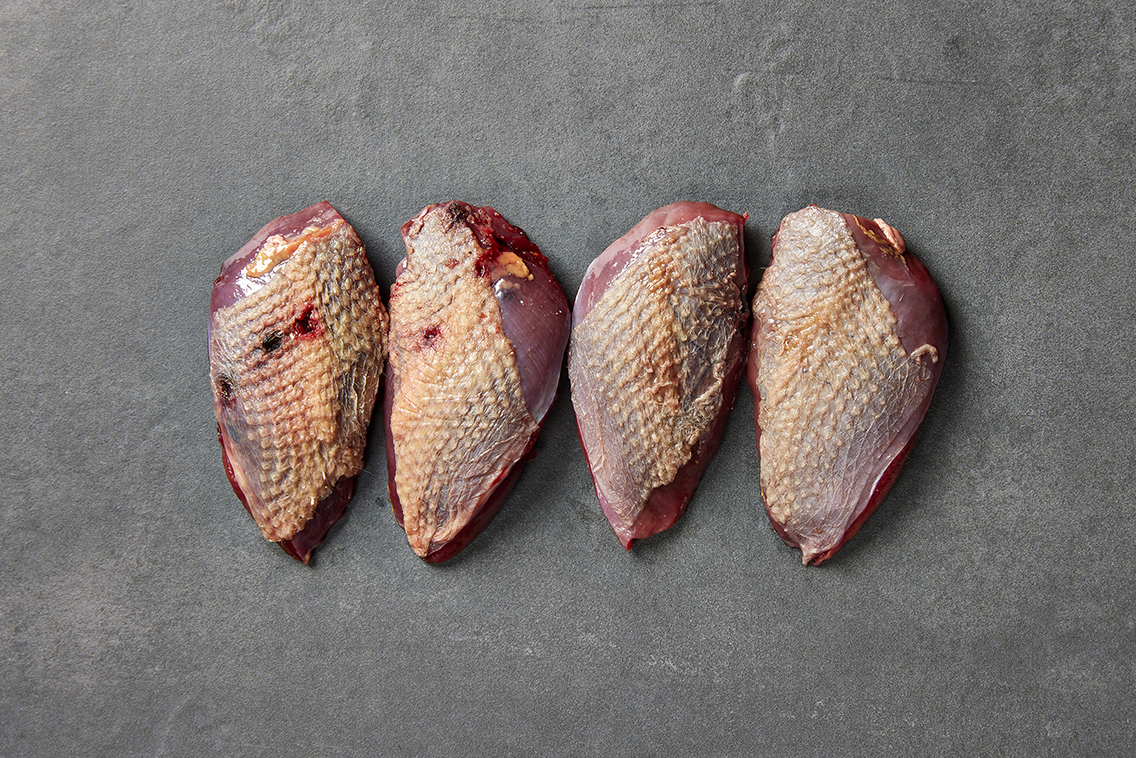 Wild uit de regio- Duif borstfilet